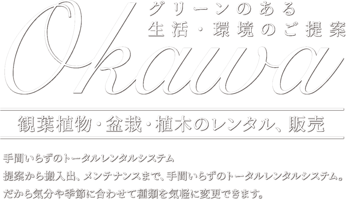 Okawa グリーンのある生活・環境のご提案 観葉植物・盆栽・植木のレンタル、販売 手間いらずのトータルレンタルシステム 提案から搬入出、メンテナンスまで、手間いらずのトータルレンタルシステム。だから気分や季節に合わせて種類を気軽に変更できます。