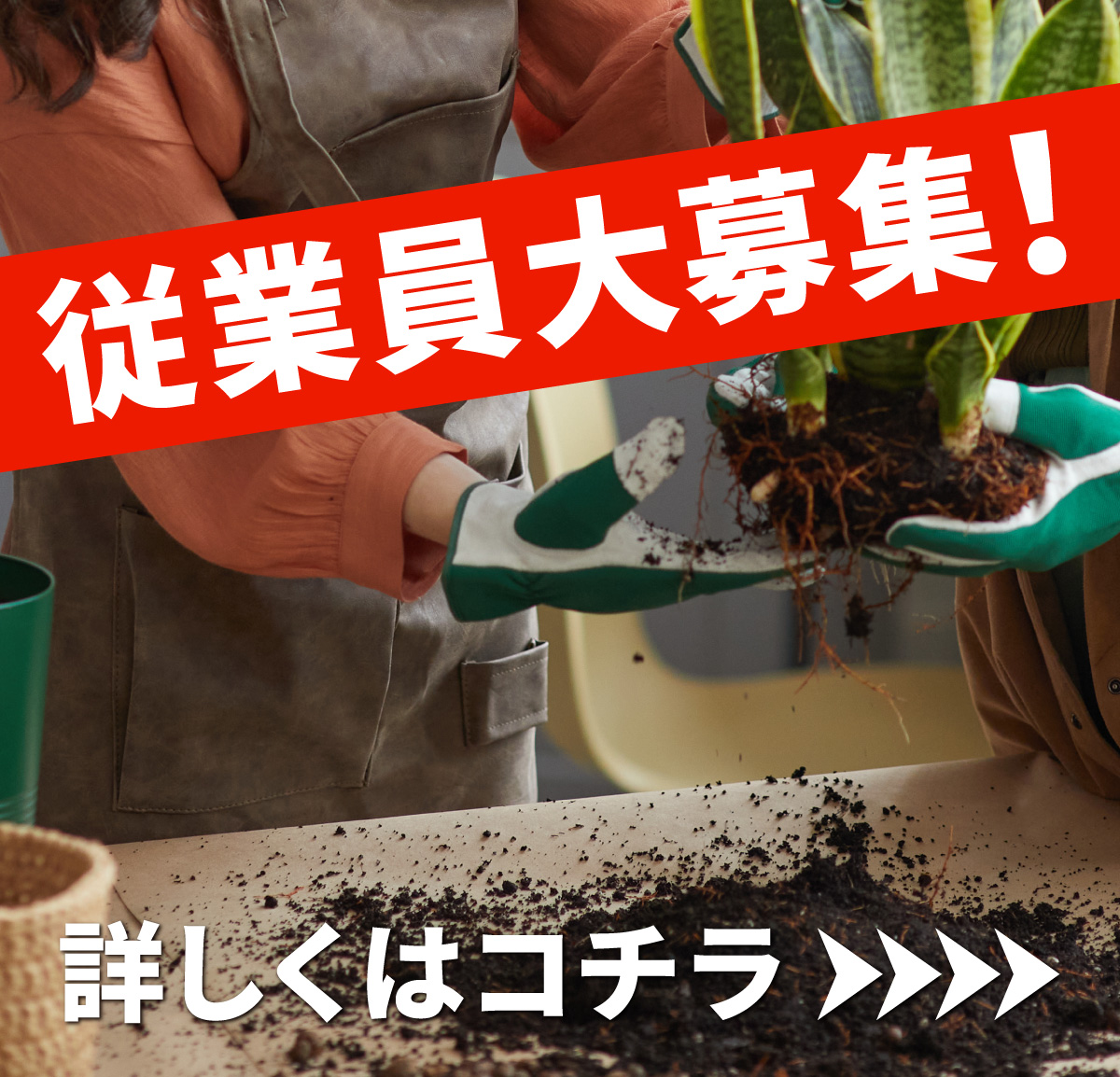 従業員大募集!詳しくはこちら
